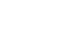 Alma Consulting